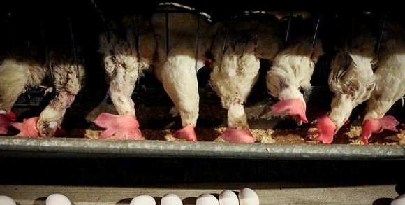 تحول در تامین داروهای مشتق از پلاسما با راه‌اندازی مراکز جمع‌آوری پلاسما در