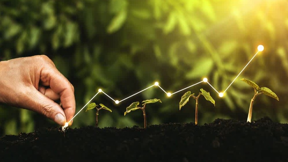 ارزیابی و سرمایه‌گذاری