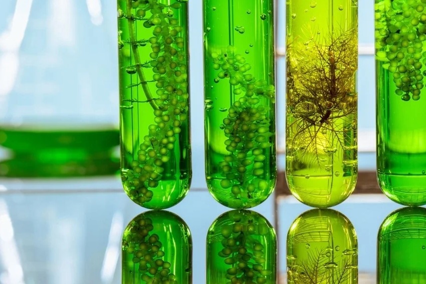 مشاوره و راهبری جهت طراحی، ایجاد، اخذ مجوز و توسعه صندوق پژوهش و فناوری