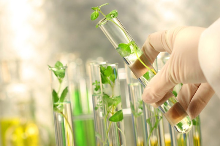 مشاوره و راهبری جهت طراحی، ایجاد، اخذ مجوز و توسعه پردیس فناوری