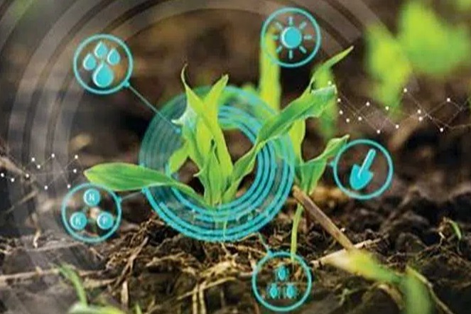 مشاوره و راهبری جهت طراحی، ایجاد، اخذ مجوز و توسعه شهرک فناوری