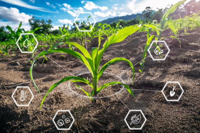 مشاوره و راهبری جهت طراحی، ایجاد، اخذ مجوز و توسعه پارک علم و فناوری